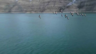 Erzurum’un Uzundere ilçesinde bulunan Tortum Gölü, göçmen kuşların uğrak noktalarından