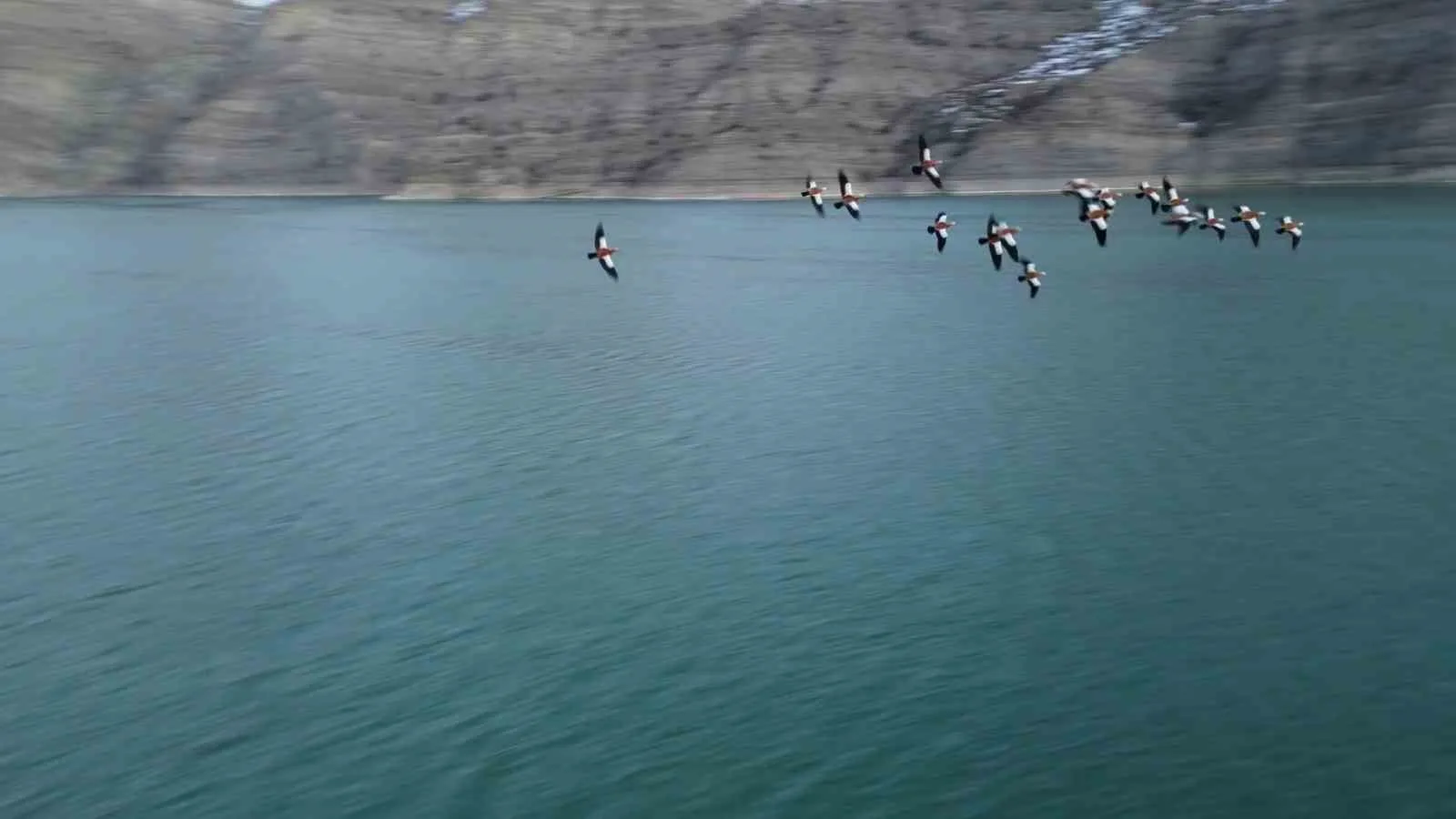 Erzurum’un Uzundere ilçesinde bulunan Tortum Gölü, göçmen kuşların uğrak noktalarından