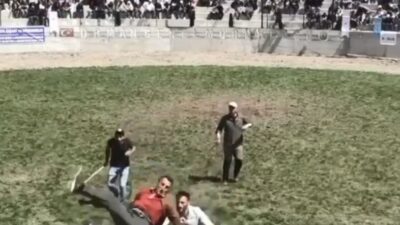Artvin’in Yusufeli ilçesinde düzenlenen Derekapı Boğa Güreşleri’nde 500 kilogram ağırlığındaki