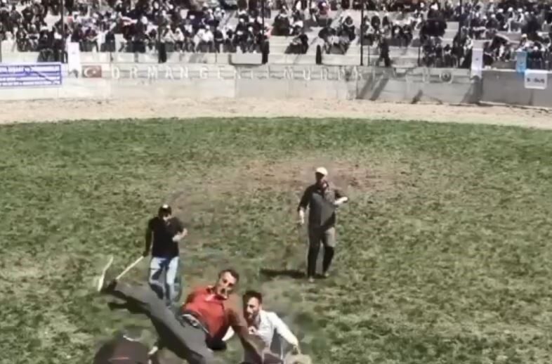 Artvin’in Yusufeli ilçesinde düzenlenen Derekapı Boğa Güreşleri’nde 500 kilogram ağırlığındaki