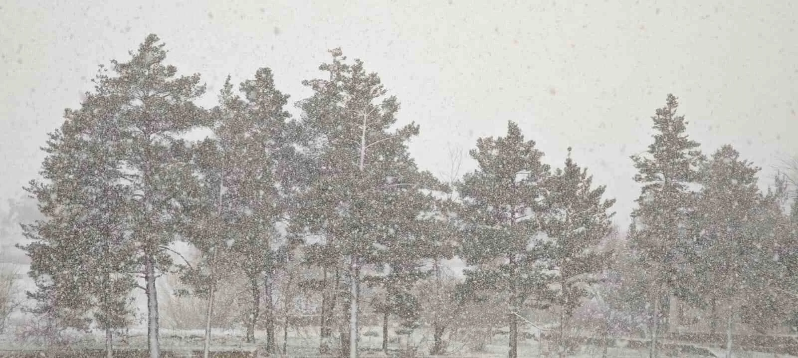 Erzurum’un Aşkale ilçesinde dün gece yarısından itibaren başlayan kar yağışı