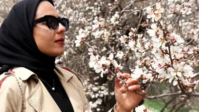 Baharın gelmesiyle alerjik rinit gibi mevsimsel sorunlar insanları etkilerken bu