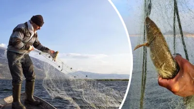 Bayburt'ta iç sularda 1 Nisan'da başlayan balık avı yasağı, sazangiller