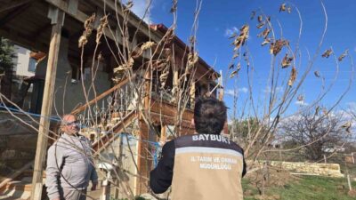 Bayburt İl Tarım ve Orman Müdürlüğü teknik personelleri tarafından, meyve