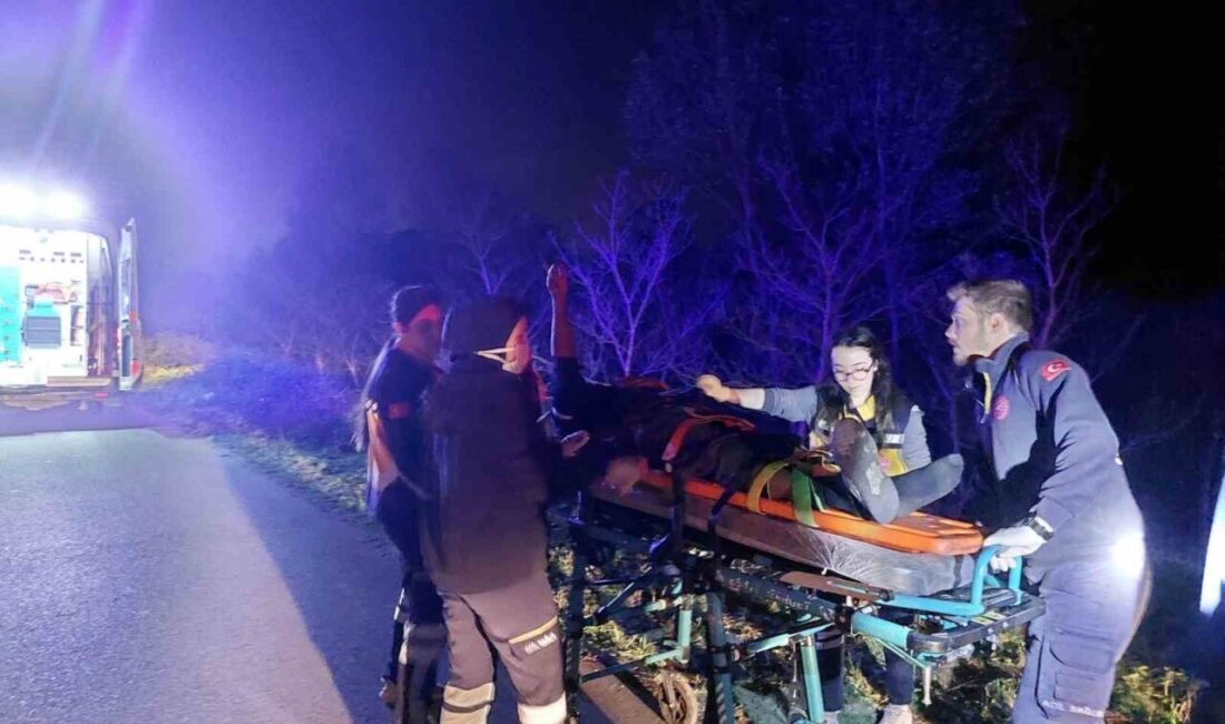 Sakarya’nın Akyazı ilçesi D140 kara yolunda sürücüsünün kontrolünden çıkan otomobil