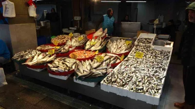 Türkiye’de 1 Eylül’de başlayan balık avı sezonu bu gece sona