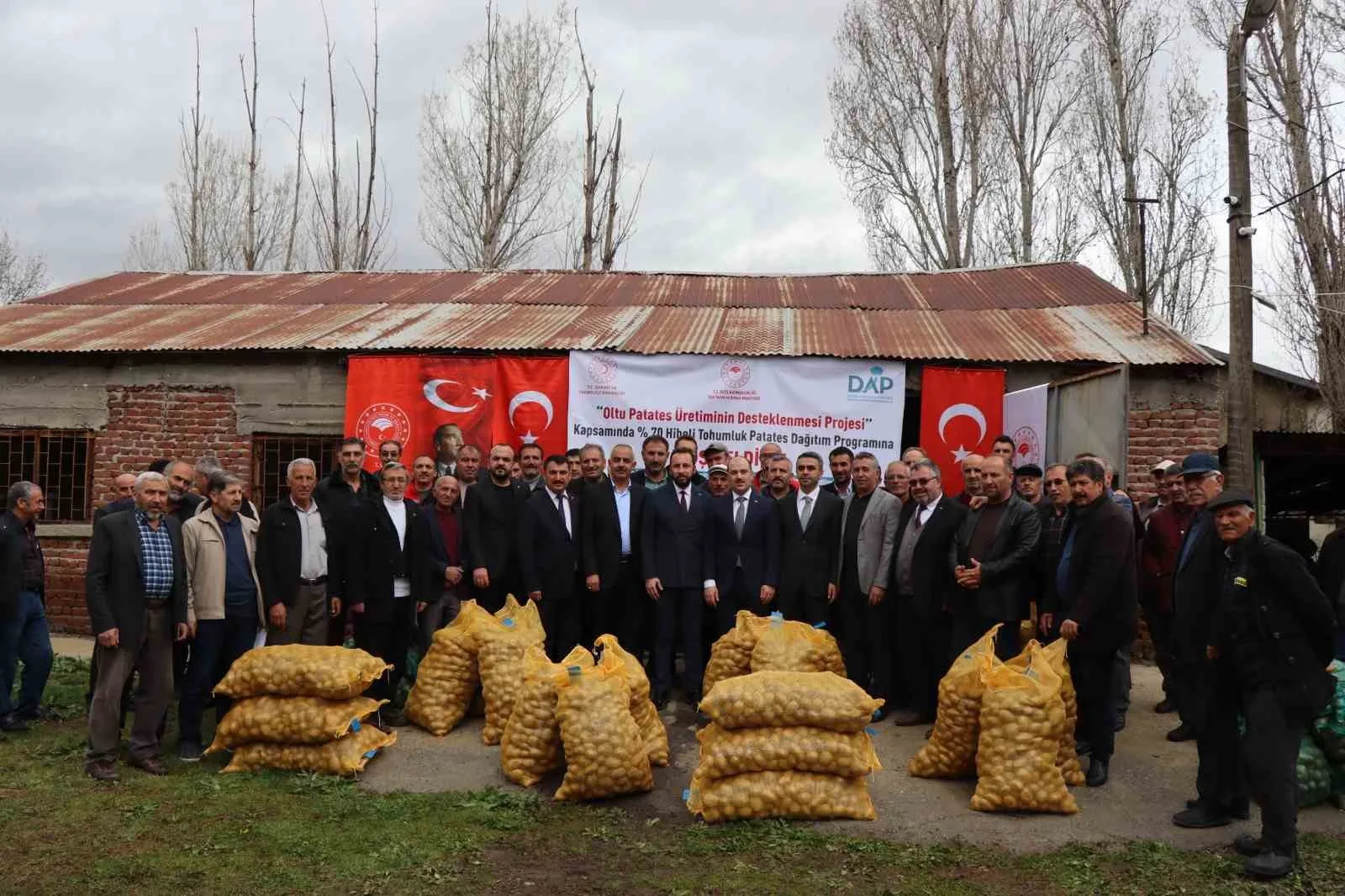 Erzurum'da çiftçilere patates tohumu dağıtılarak üretim artırılırken Oltu'da hibe ile