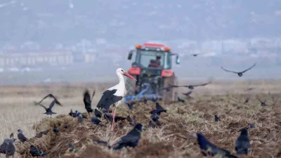 Meteoroloji 12. Bölge müdürlüğü özellikle tarımla ilgilenen vatandaşları zirai dona