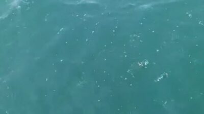 İstanbul’daki 6,2 büyüklüğündeki depreme Küçükçekmece açıklarında teknede yakalanan bir grup