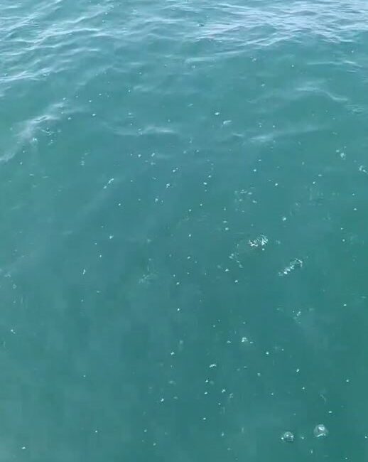 Depreme denizde yakalandılar: “Marmara açıklarında bir gürültü koptu, tekne sallandı” İstanbul’daki 6,2 büyüklüğündeki depreme Küçükçekmece açıklarında teknede yakalanan bir grup