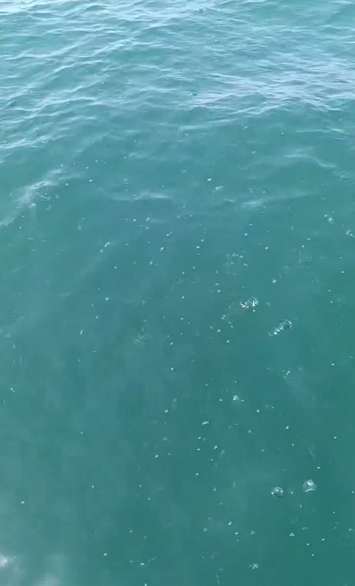 İstanbul’daki 6,2 büyüklüğündeki depreme Küçükçekmece açıklarında teknede yakalanan bir grup