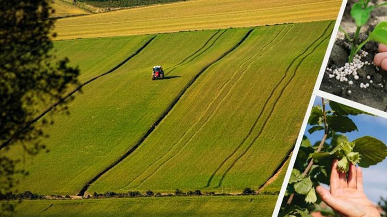 Tarım ve Orman Bakanı İbrahim Yumaklı, 5 milyar 948 milyon