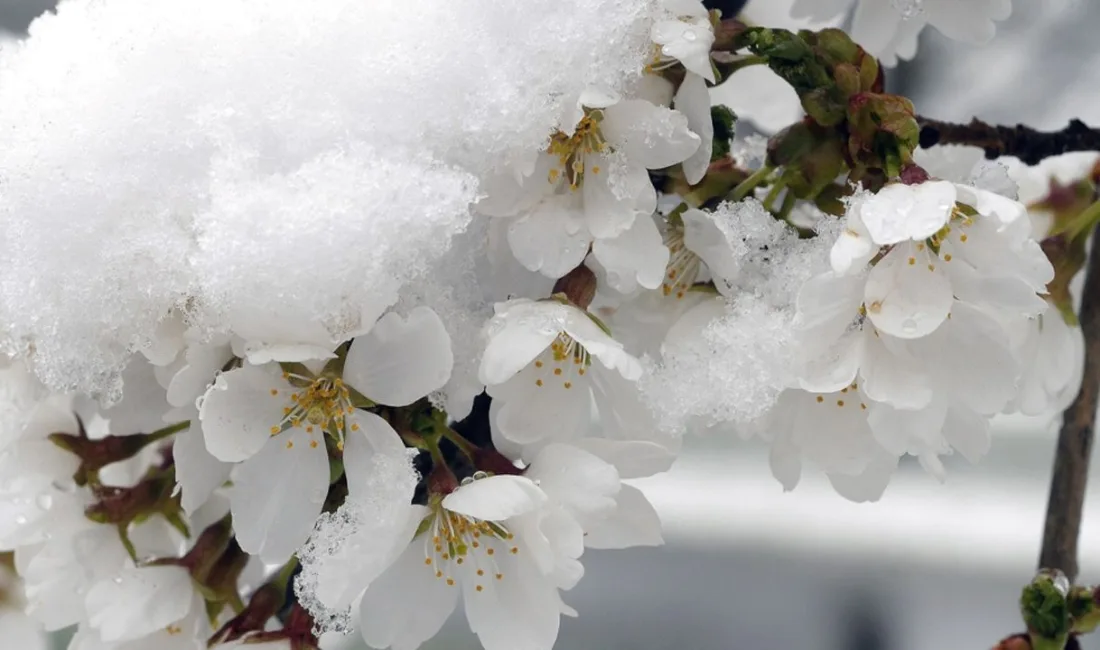 Marmara'nın güney ve doğusu, İç Anadolu, İç Ege, Göller Yöresi,
