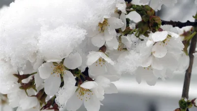 Marmara'nın güney ve doğusu, İç Anadolu, İç Ege, Göller Yöresi,