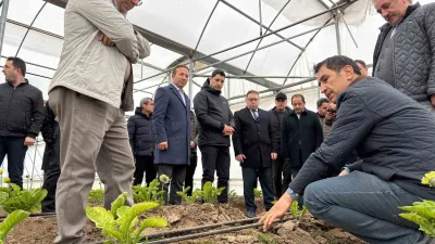 Erzincan Toplu Sera Bölgesi Projesi yatırımcıları, Erbaa Kesme Çiçek Üretim