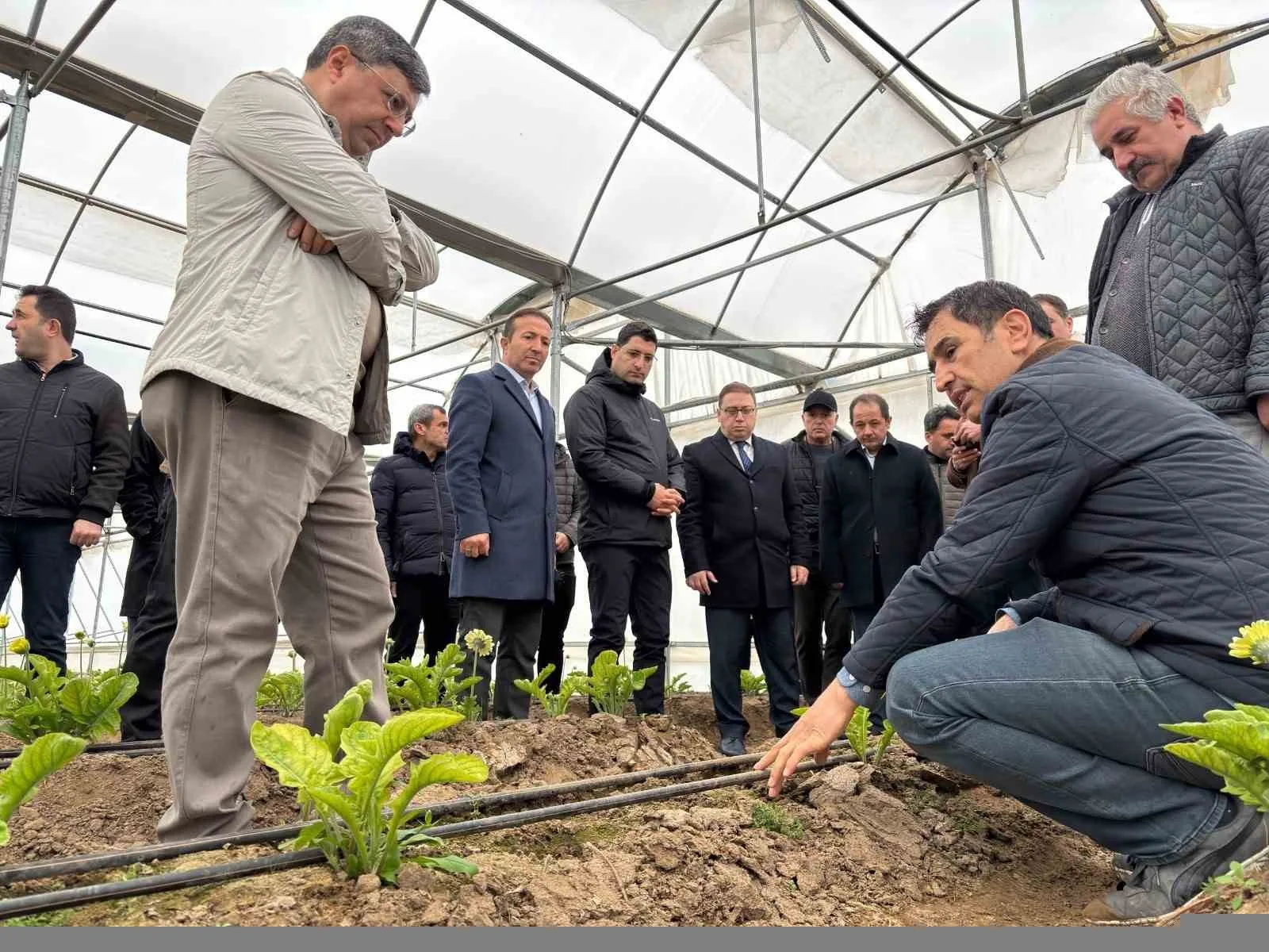 Erzincan Toplu Sera Bölgesi Projesi yatırımcıları, Erbaa Kesme Çiçek Üretim