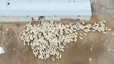 Erzincan'ın Kemah ilçesine bağlı Oğuz köyünde bulunan Şavak aşiretine mensup