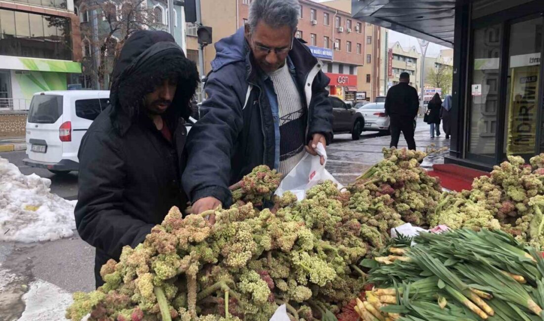 Doğu Anadolu Bölgesinin yüksek rakımlı yaylalarında doğal olarak yetişen, halk
