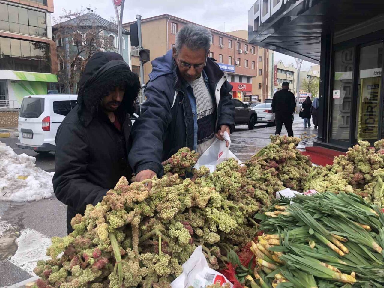 Doğu Anadolu Bölgesinin yüksek rakımlı yaylalarında doğal olarak yetişen, halk