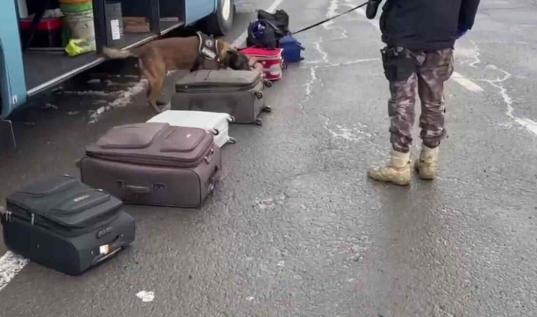 Erzurum Emniyet Müdürlüğü Narkotik Suçlarla Mücadele Şube Müdürlüğü ekipleri uyuşturucu