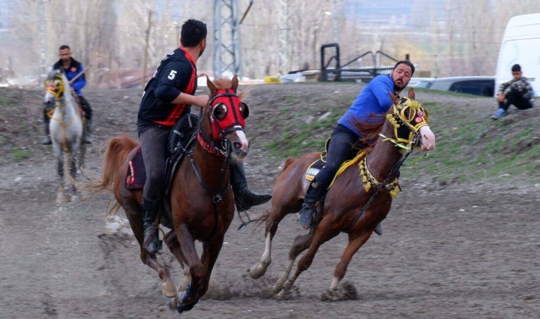 Erzurum’da meraklıları tarafından heyecanla beklenen cirit müsabakalarında sporcuların ve atların