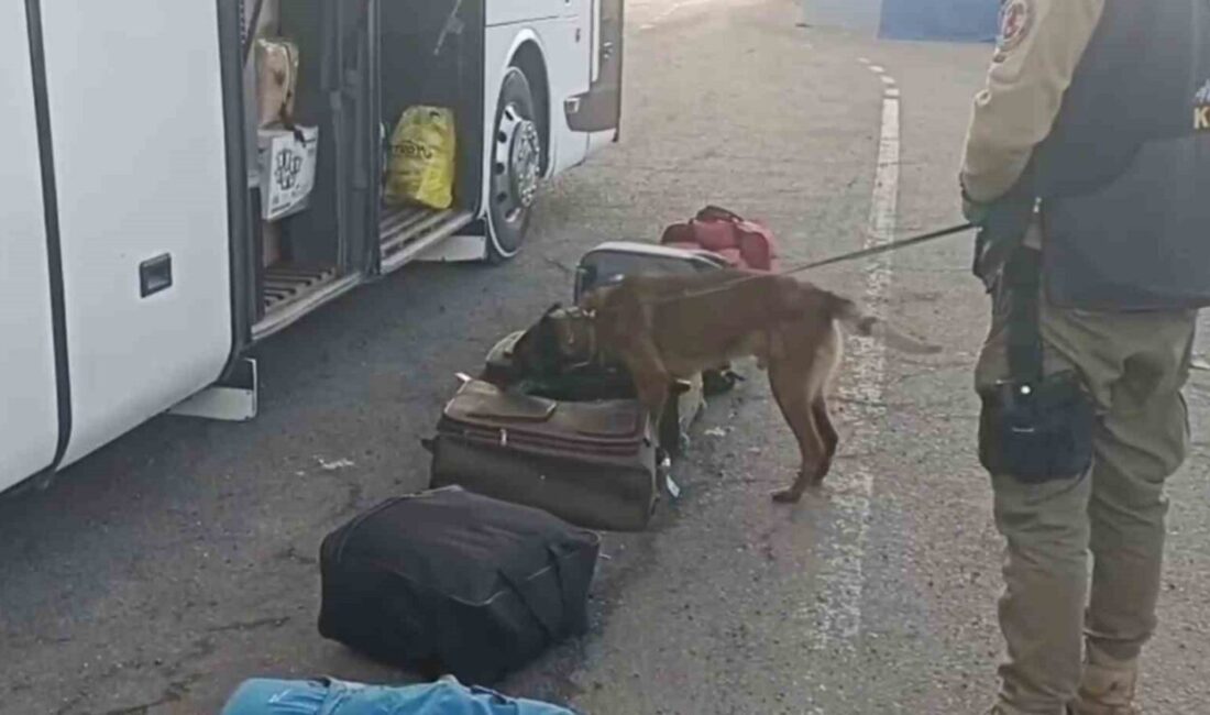 Erzurum Emniyet Müdürlüğü Narkotik Suçlarla Mücadele Şube Müdürlüğü ekiplerine yapılan
