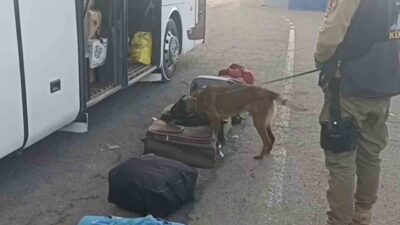 Erzurum Emniyet Müdürlüğü Narkotik Suçlarla Mücadele Şube Müdürlüğü ekiplerine yapılan