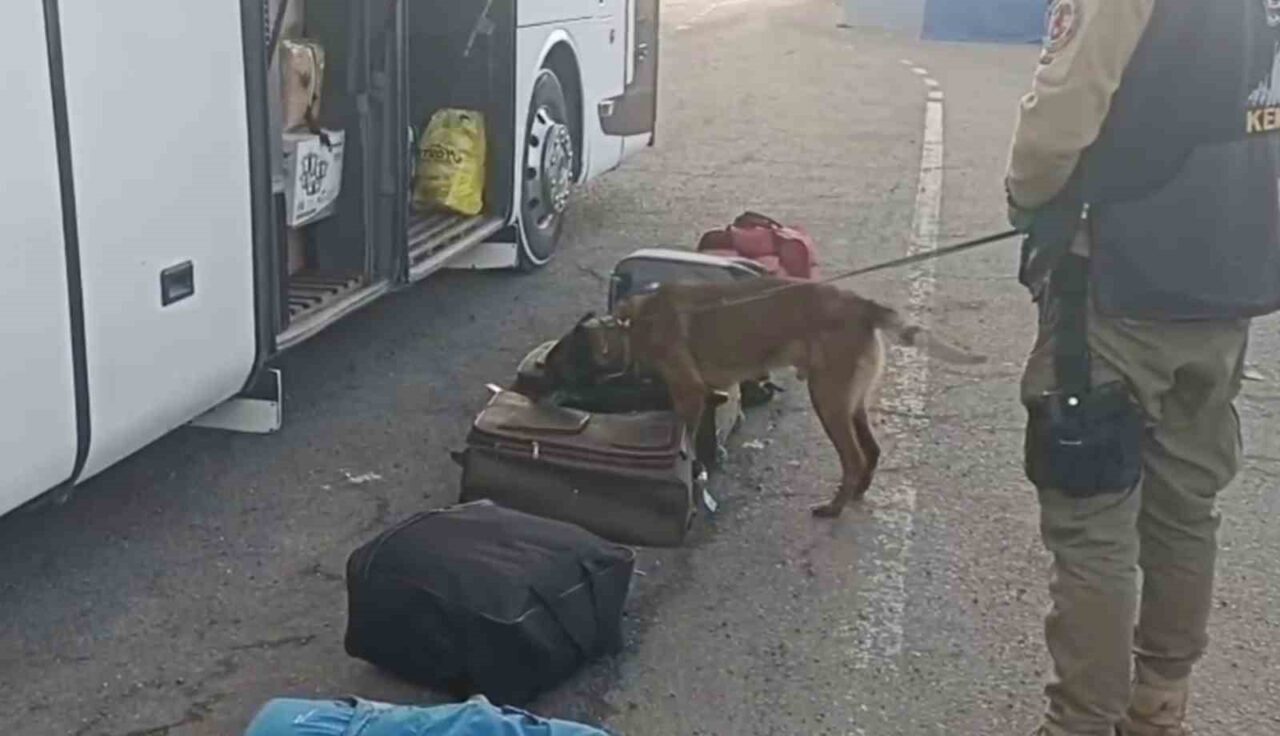 Erzurum Emniyet Müdürlüğü Narkotik Suçlarla Mücadele Şube Müdürlüğü ekiplerine yapılan
