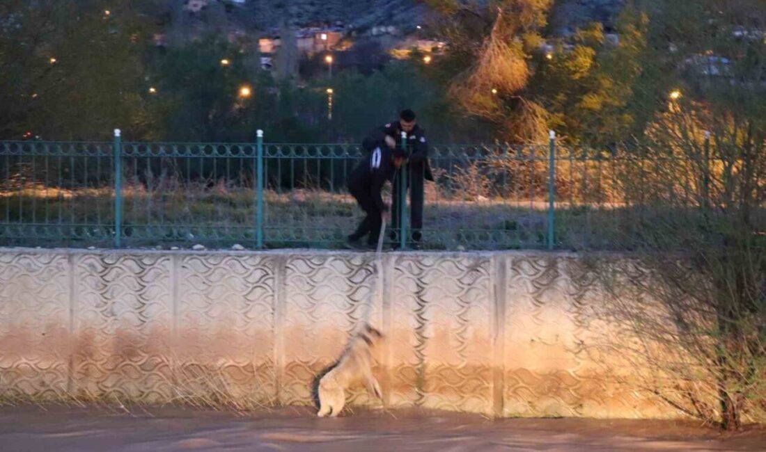 Erzurum’un Oltu ilçesinde Oltu Çayı’na düşerek saatlerce mahsur kalan sokak