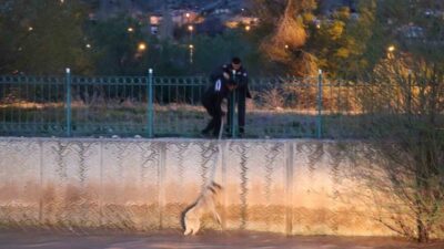 Erzurum’un Oltu ilçesinde Oltu Çayı’na düşerek saatlerce mahsur kalan sokak