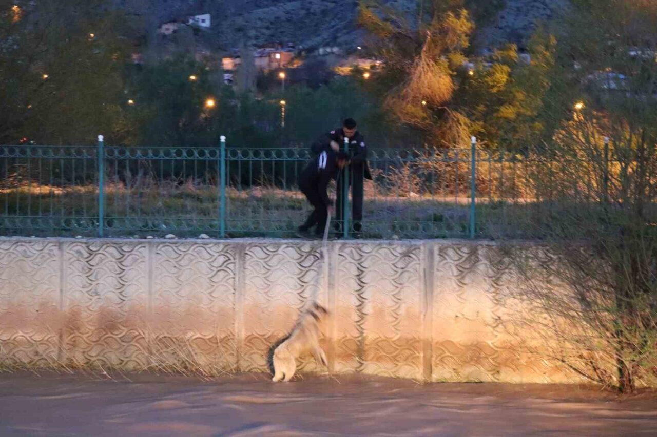 Erzurum’un Oltu ilçesinde Oltu Çayı’na düşerek saatlerce mahsur kalan sokak
