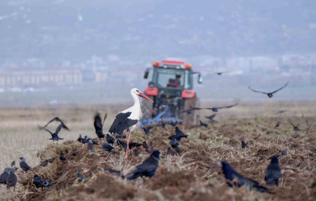 Türkiye’de Mart ayında 195 bin 682 adet taşıtın trafiğe kaydı