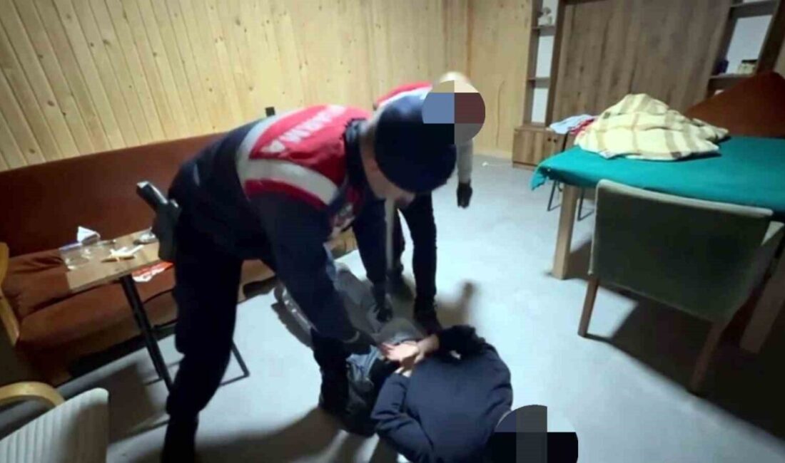 Sakarya’nın Sapanca ilçesinde jandarma ekiplerince gerçekleştirilen ve 6 adet ruhsatsız