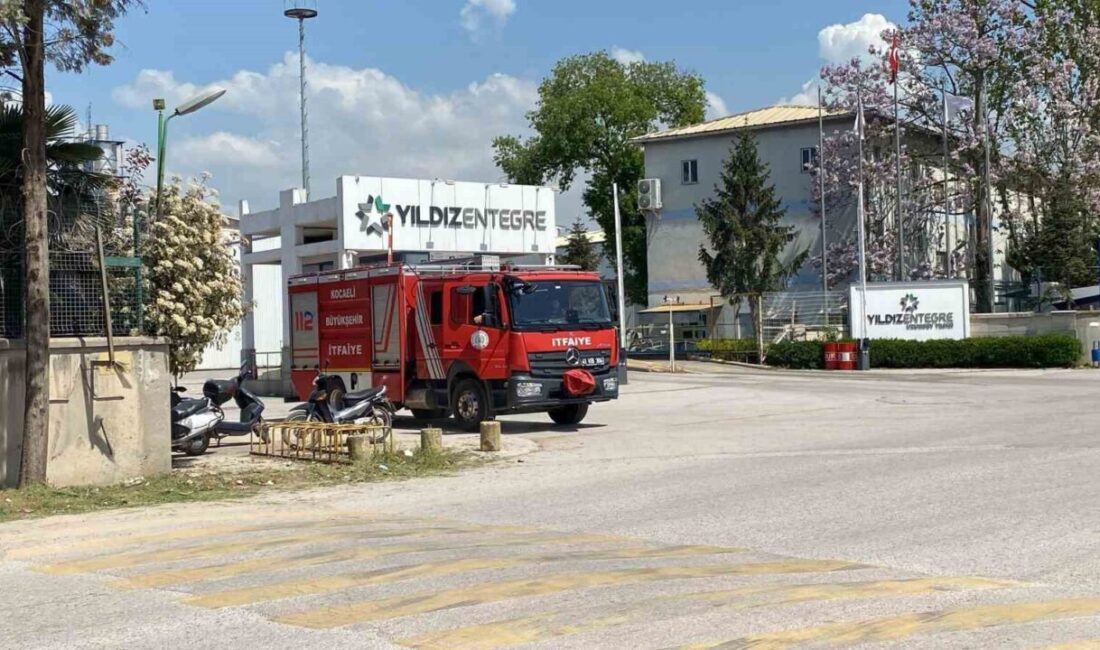 Kocaeli’nin Kartepe ilçesinde bulunan Yıldız Entegre fabrikasının açık alanında çıkan