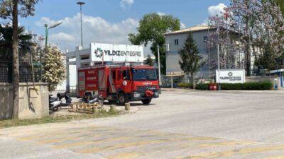 Kocaeli’nin Kartepe ilçesinde bulunan Yıldız Entegre fabrikasının açık alanında çıkan