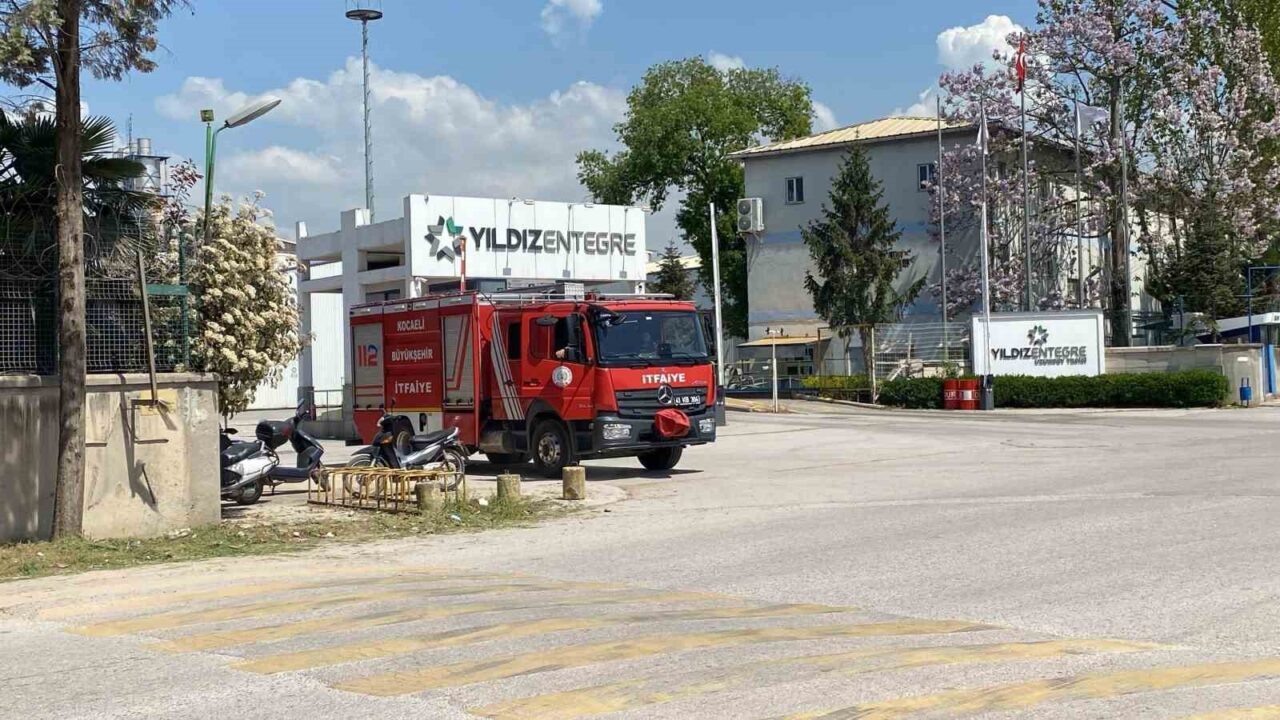 Kocaeli’nin Kartepe ilçesinde bulunan Yıldız Entegre fabrikasının açık alanında çıkan