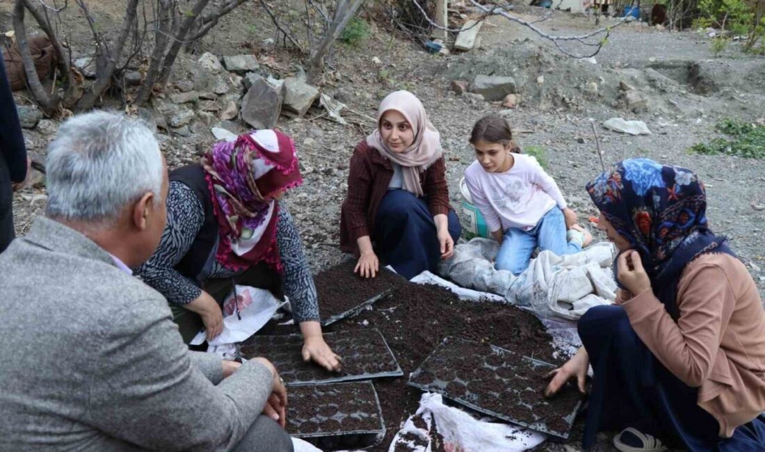 Erzurum’un Oltu ilçesine bağlı Ayvalı Mahallesi’nde yaşayan vatandaşlar, bahar aylarının