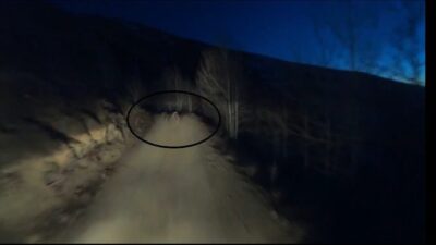 Bayburt’ta motosikletle köyüne giden genç adam yolda karşılaştığı ayıları cep