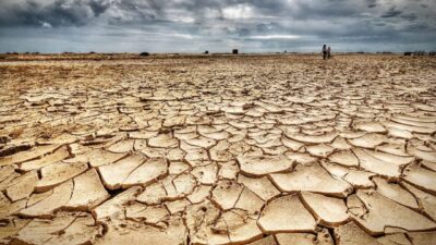 Mart ayında yağışlar, normale göre yüzde 53, geçen yılın aynı