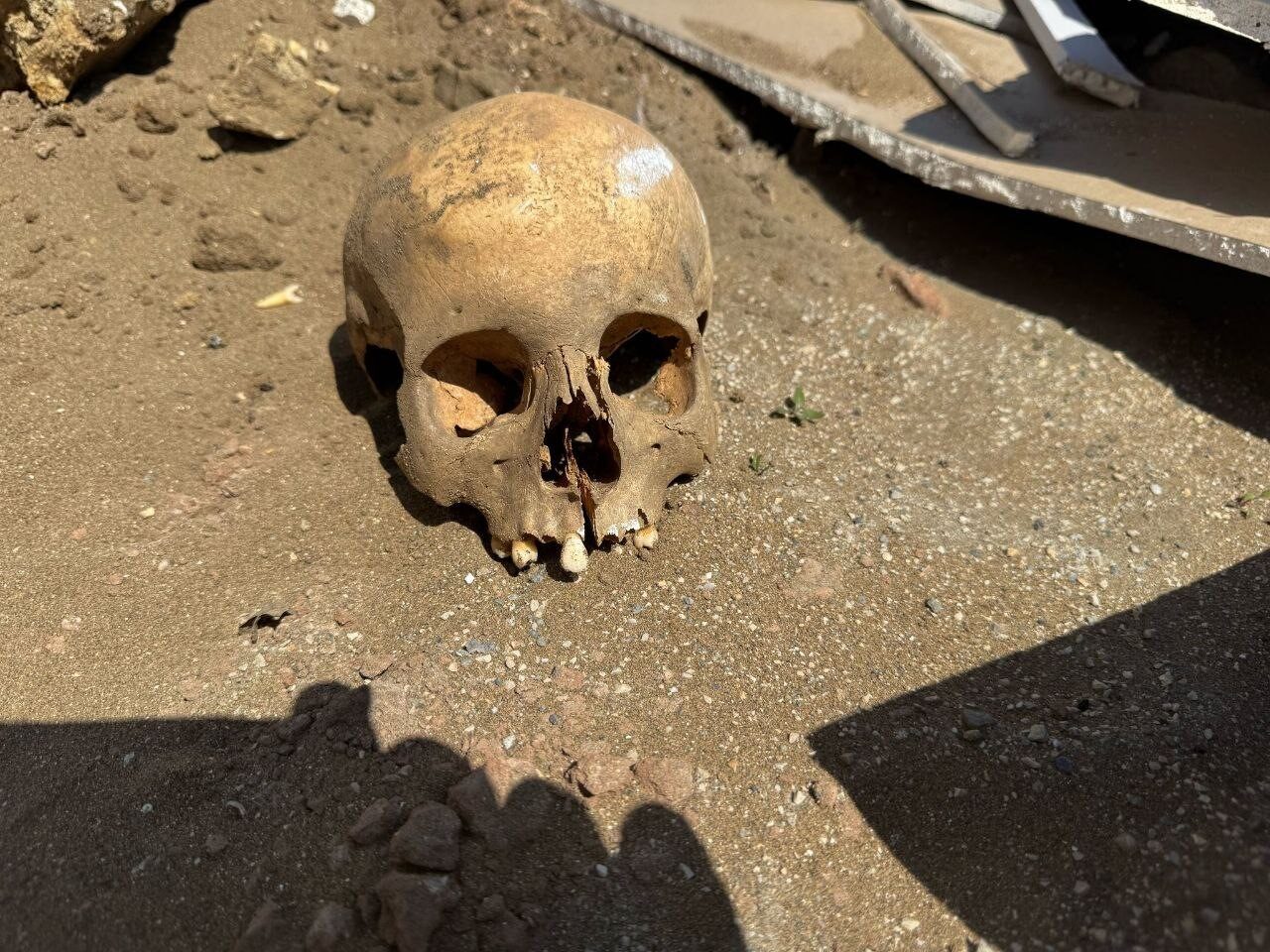 Sakarya’nın Karasu ilçesinde inşaat kazısında işçileri tarafından bulunan kafatası ekipleri