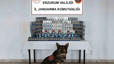 Erzurum’da jandarma ekiplerince yapılan operasyonda çok sayıda kaçak ürün ele