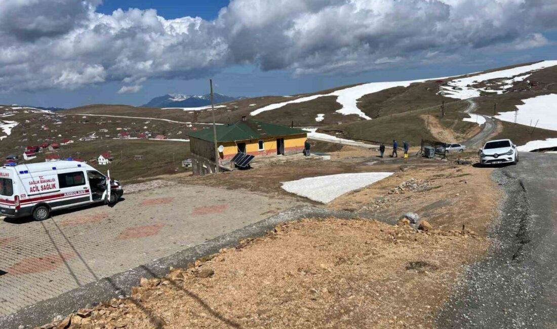 Gümüşhane ve Trabzonlu yaylacıların ortak kullanım alanı olan 2 bin