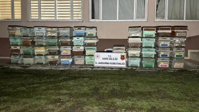 Kağızman’da arı kovanı hırsızları jandarma ekiplerince yakalandı. Kars’ın Kağızman ilçesinde