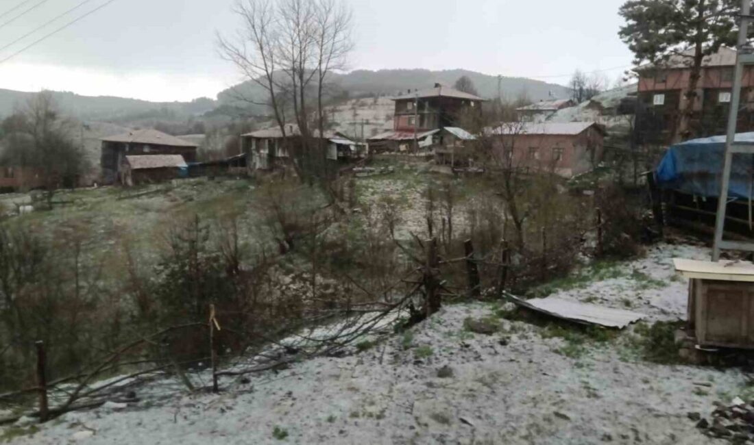 Kastamonu’nun İhsangazi ilçesinde etkili olan sağanak yağışın ardından ceviz büyüklüğünde