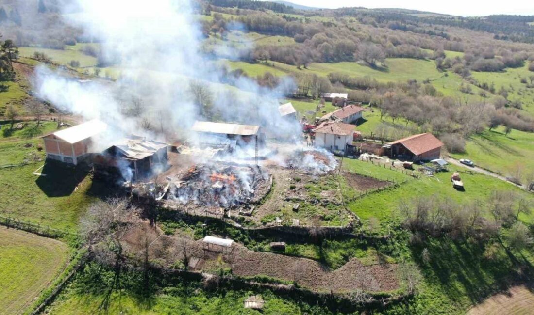 Kastamonu’da elektrik panosunun patlaması sonucu çıkan yangında 3 ev ve