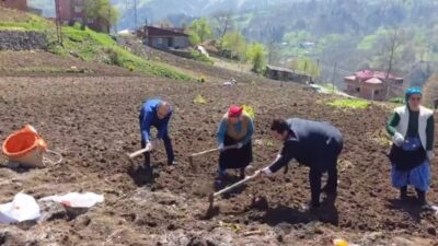 Trabzon’da Düzköy Kaymakamı Yunus Polat ve Belediye Başkanı Selim Çelenk,