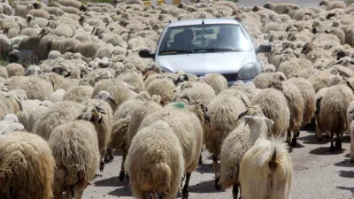 Erzincan’da kış mevsiminin ardından hayvanlarını meralara çıkarmaya başlayan besiciler, yüksek
