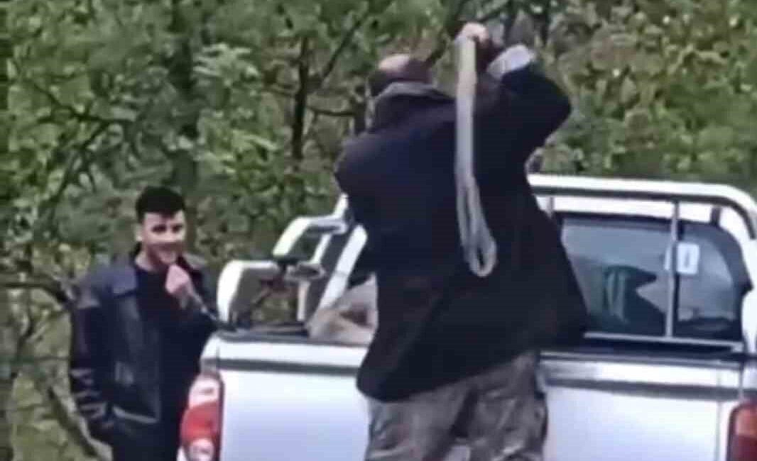 Trabzon’da kamyonet kasasında köpeğe halatla şiddet uyguladığı görüntüler sosyal medyada
