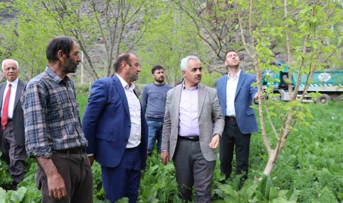 Erzurum’un Oltu ilçesi Ayvalı Mahallesi’nde zirai don meyve ağaçlarını olumsuz
