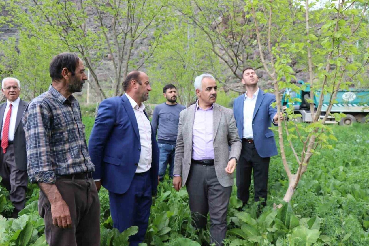 Erzurum’un Oltu ilçesi Ayvalı Mahallesi’nde zirai don meyve ağaçlarını olumsuz